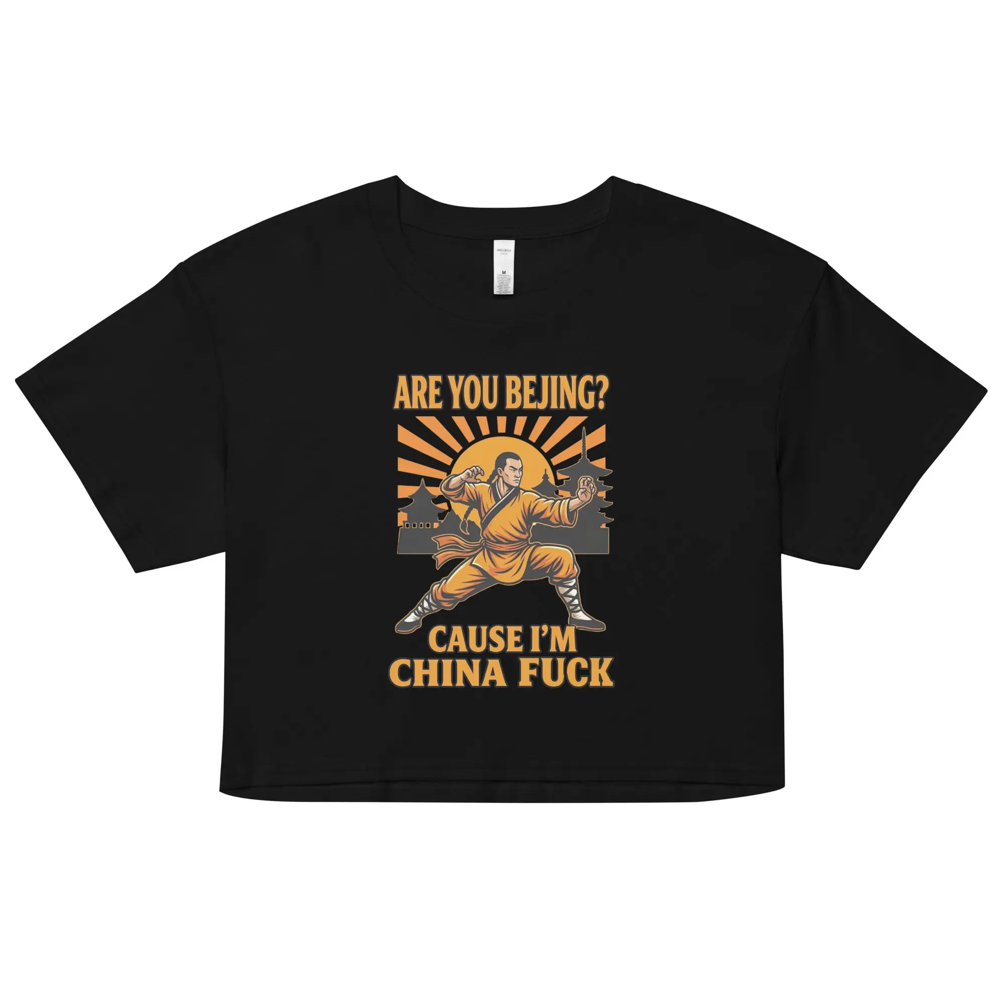 Are you Bejin cause I'm China fuck crop top