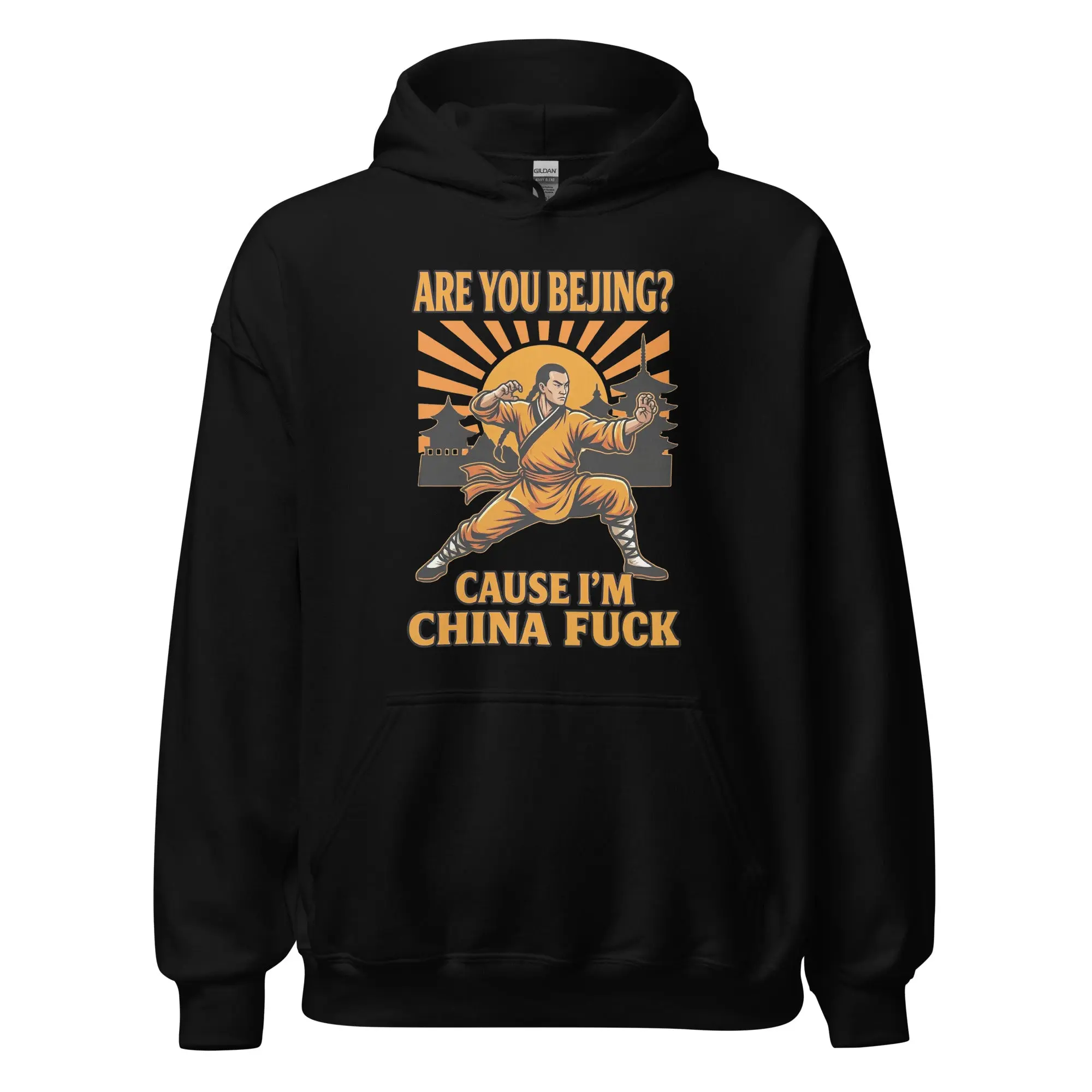Are you Bejin cause I'm China fuck Hoodie