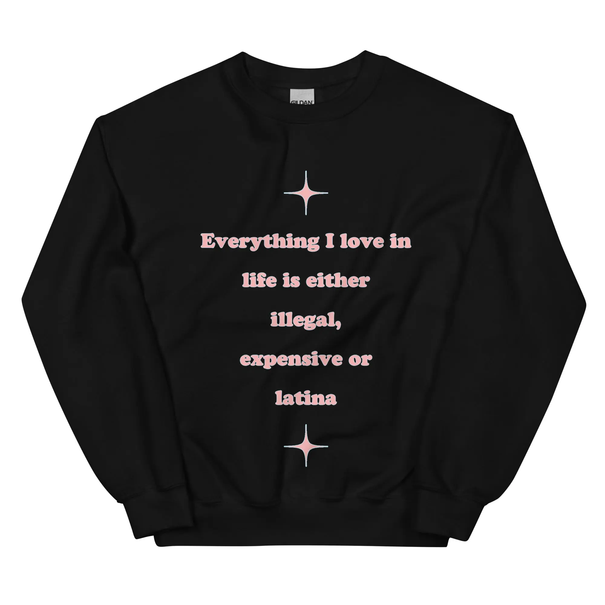Everything I love in life is either illegal, expensive or latina sweatshirt