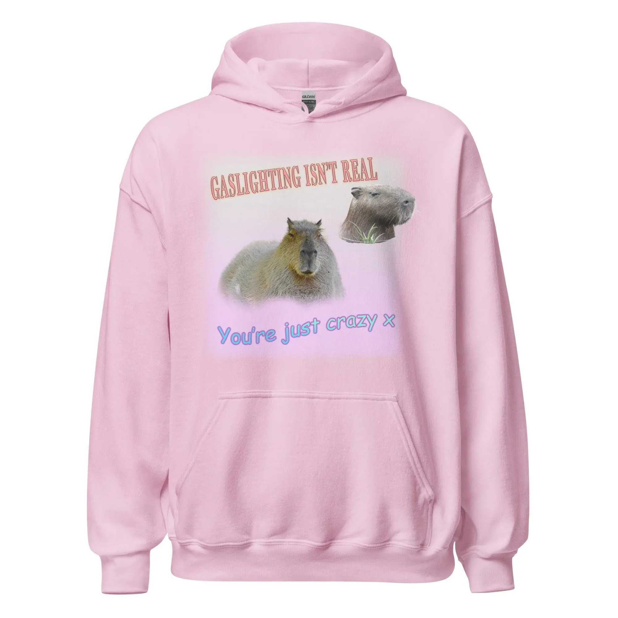 Gaslighting isn't Real Hoodie - Image 5