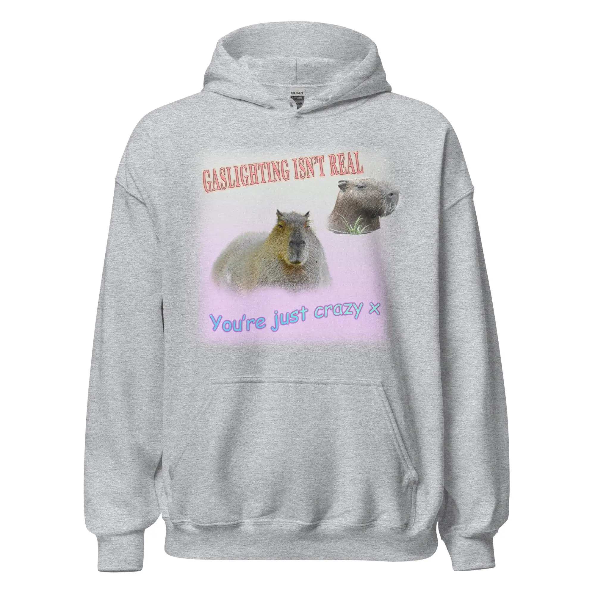 Gaslighting isn't Real Hoodie - Image 6