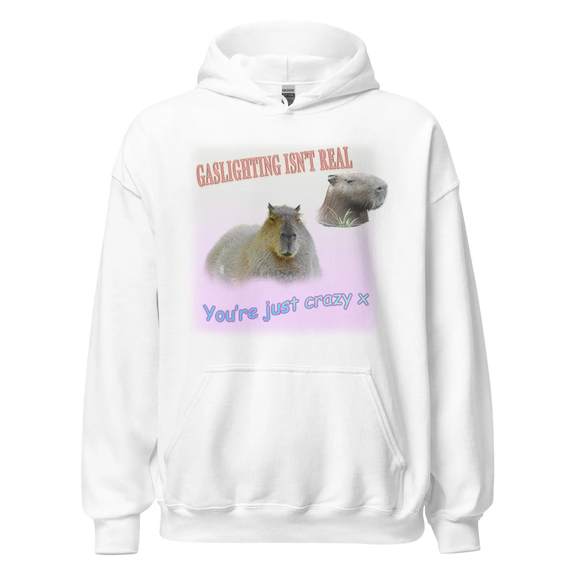 Gaslighting isn't Real Hoodie - Image 7
