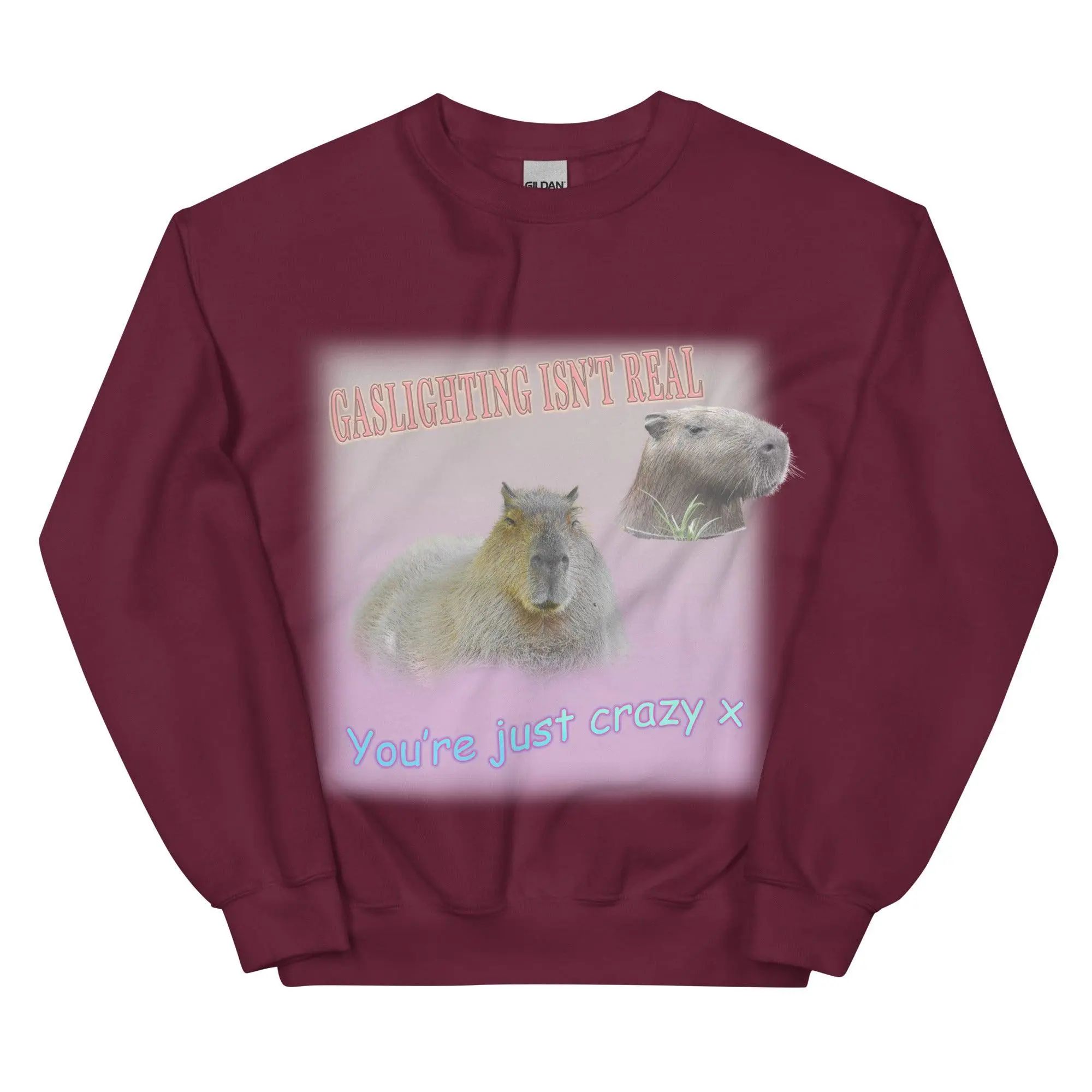 Gaslighting Isn't Real Sweatshirt - Image 4