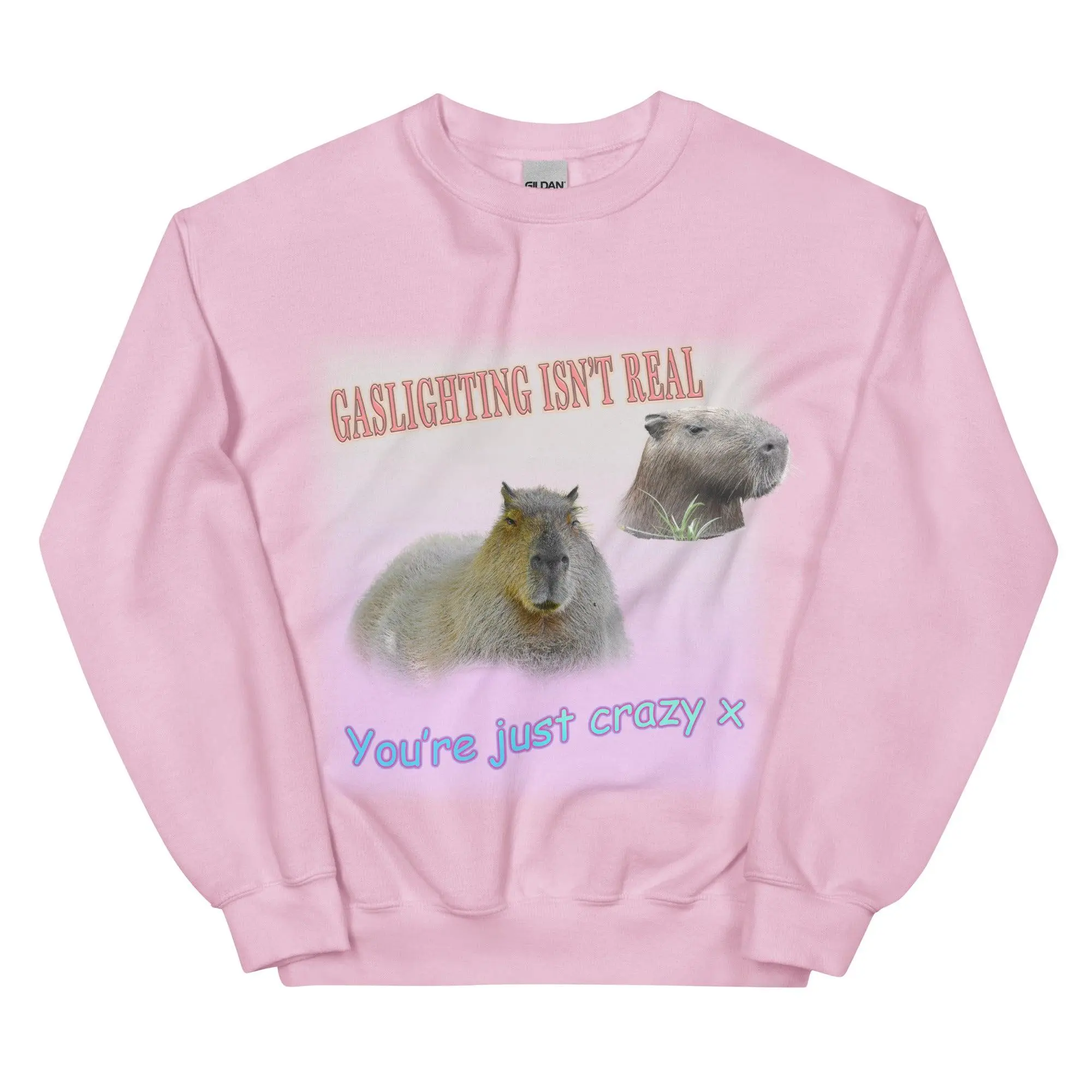 Gaslighting Isn't Real Sweatshirt - Image 8