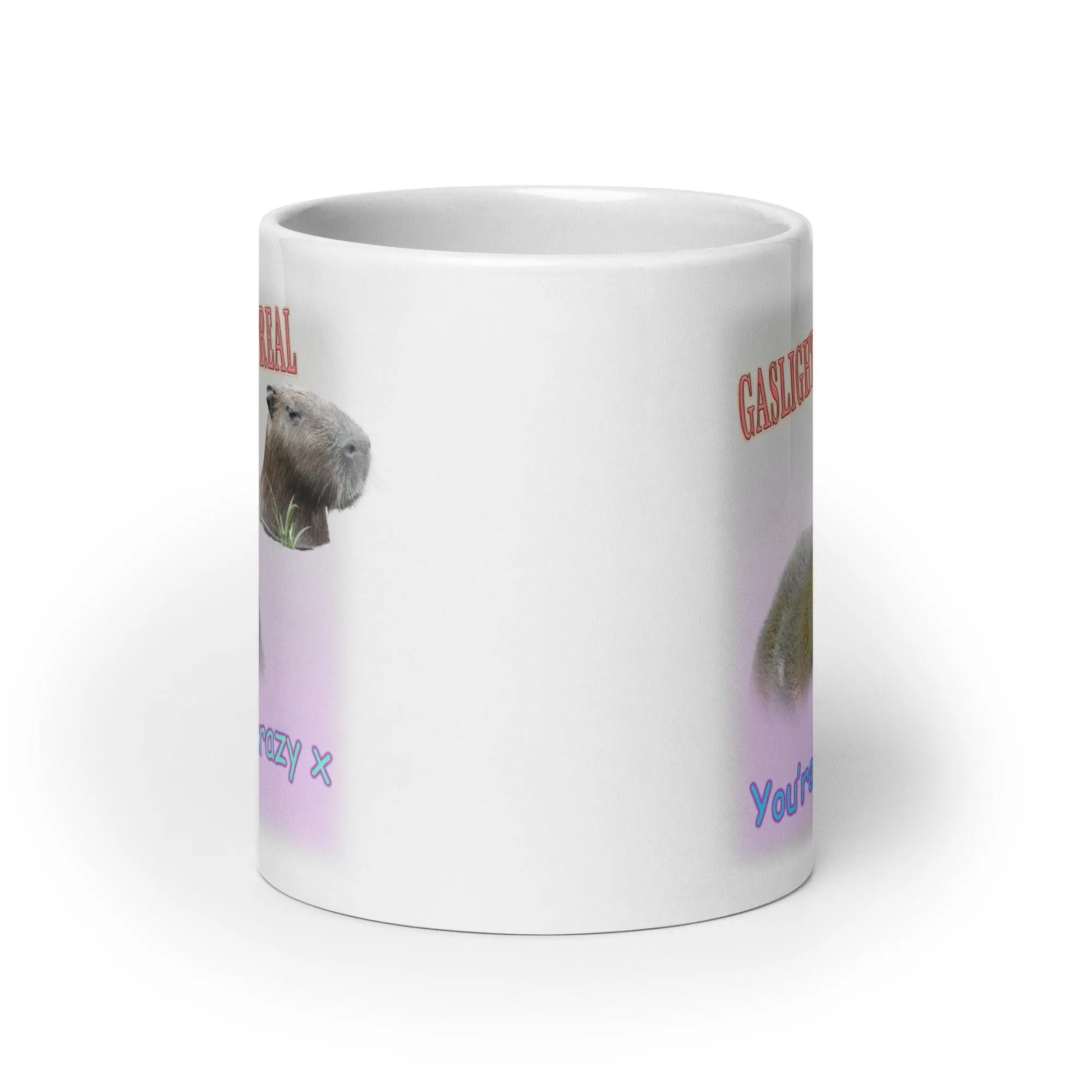 Gaslighting isn't Real White glossy mug - Image 10
