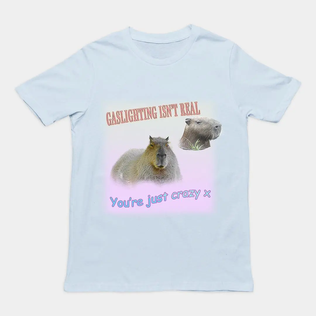 Gaslighting isn't Real t-shirt - Image 5