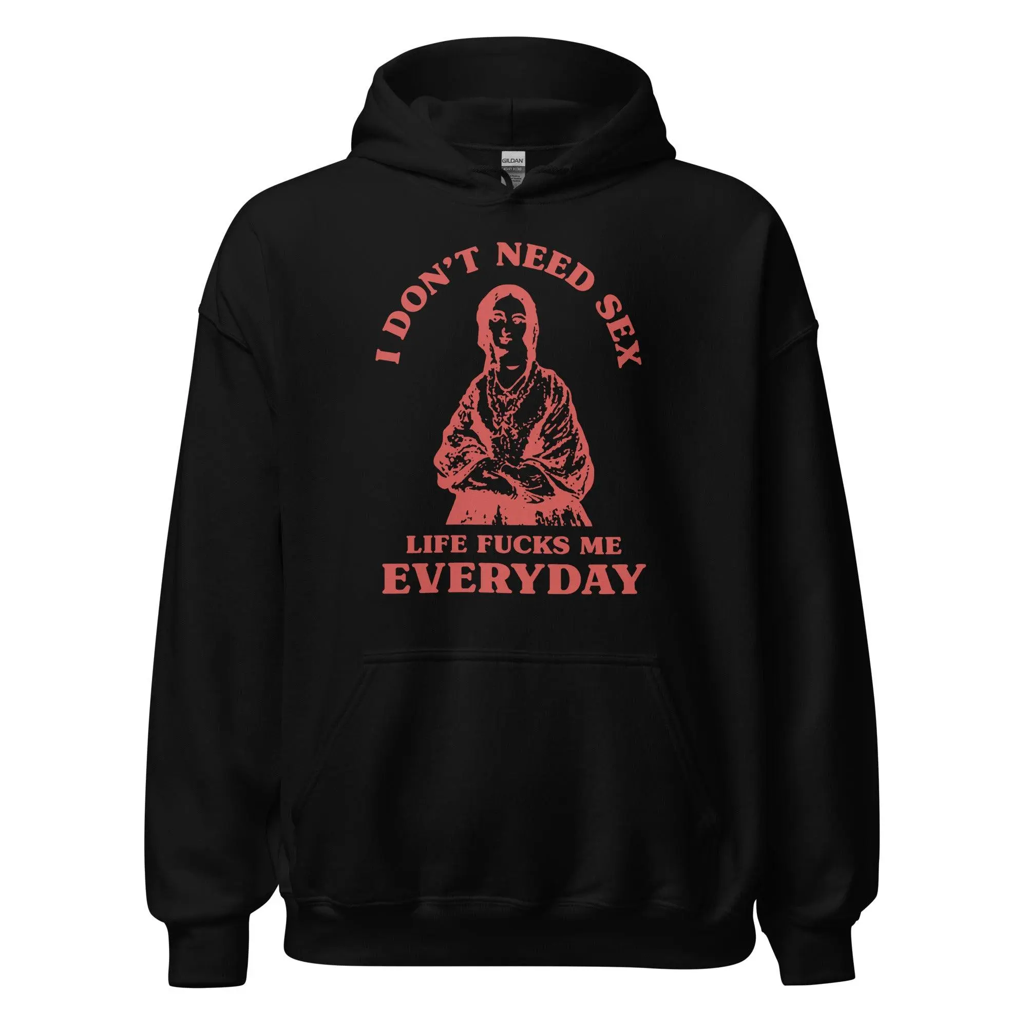 I Don't Need Sex Life Fucks Me Everyday Hoodie