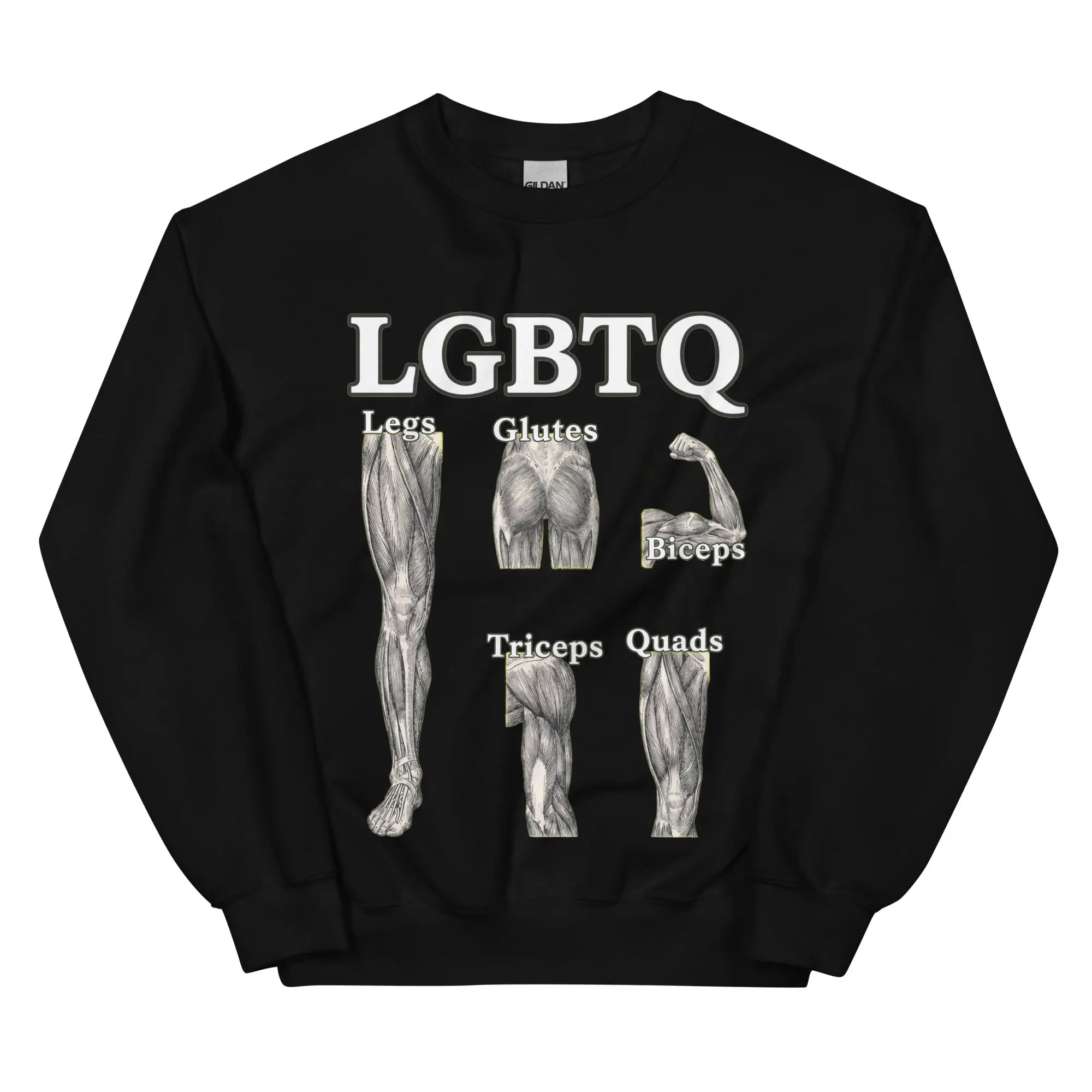 LGBTQ (legs glutes biceps tricpes quads) sweatshirt