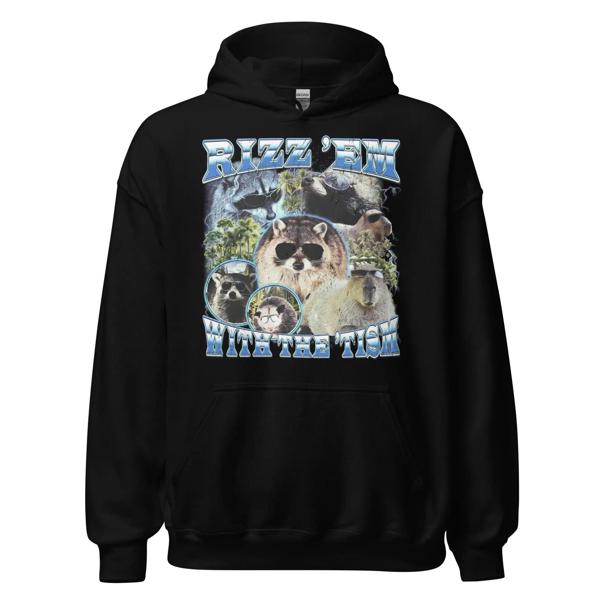 Rizz 'em with the 'tism Hoodie