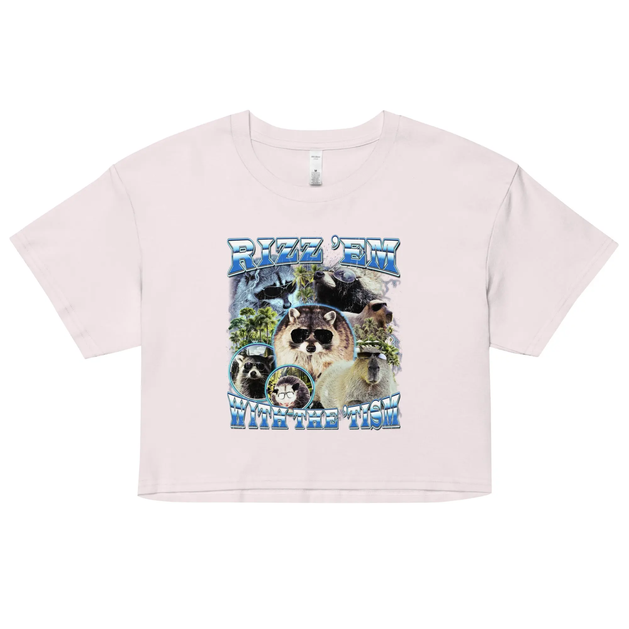 Rizz 'em with the 'tism value Women’s crop top - Image 4