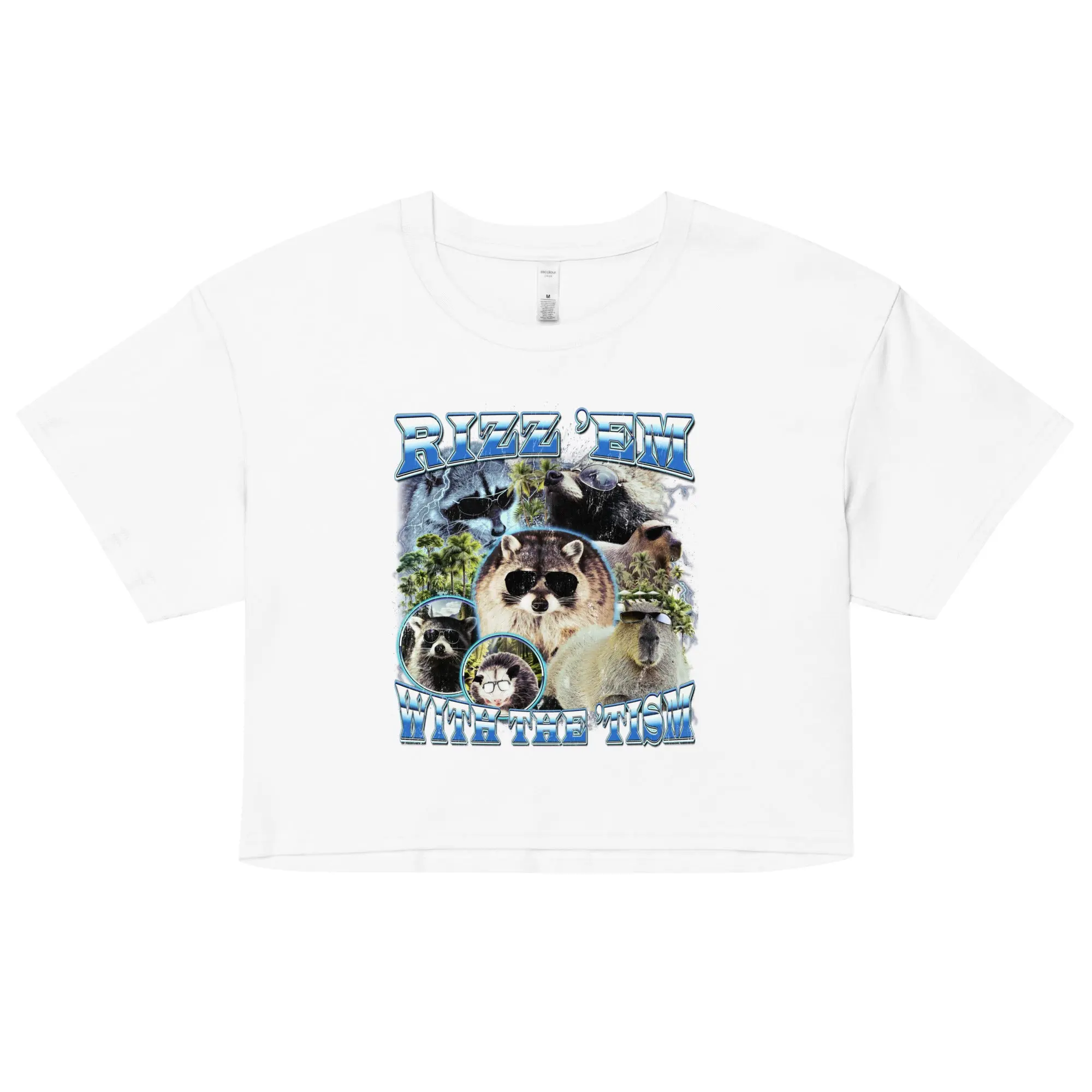 Rizz 'em with the 'tism value Women’s crop top - Image 5