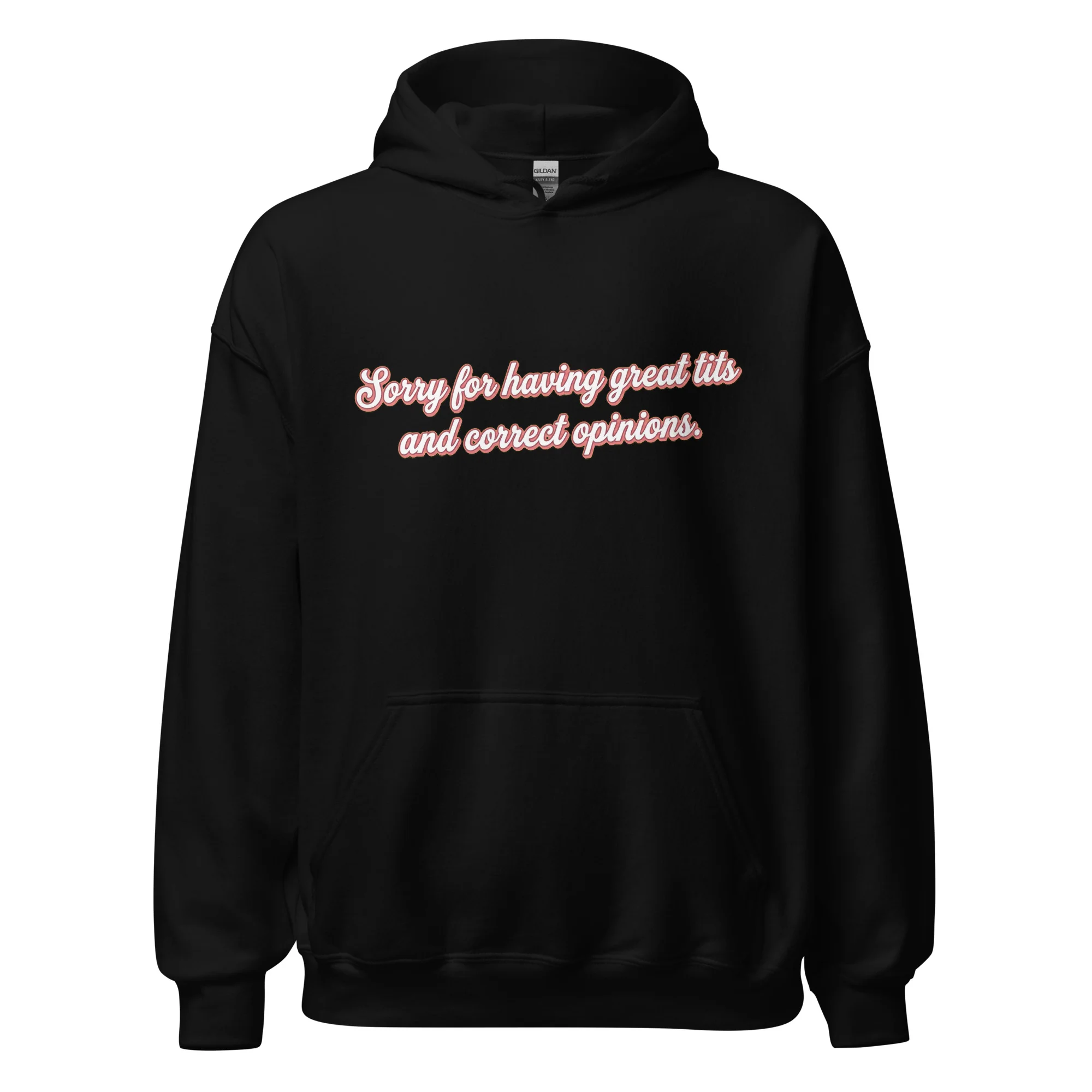 Sorry for having great tits and correct opinions Hoodie