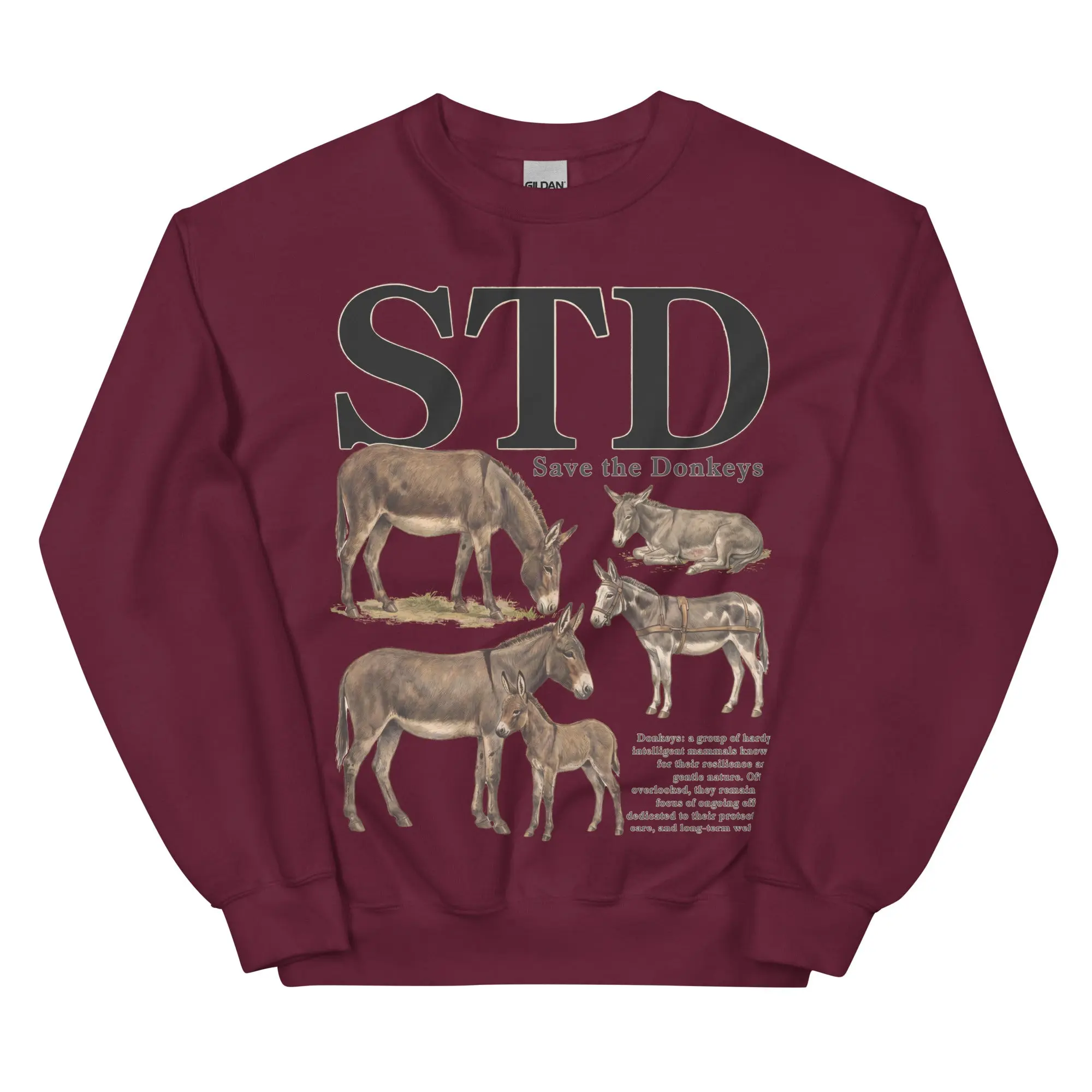 STD (save the donkeys) sweatshirt - Image 5