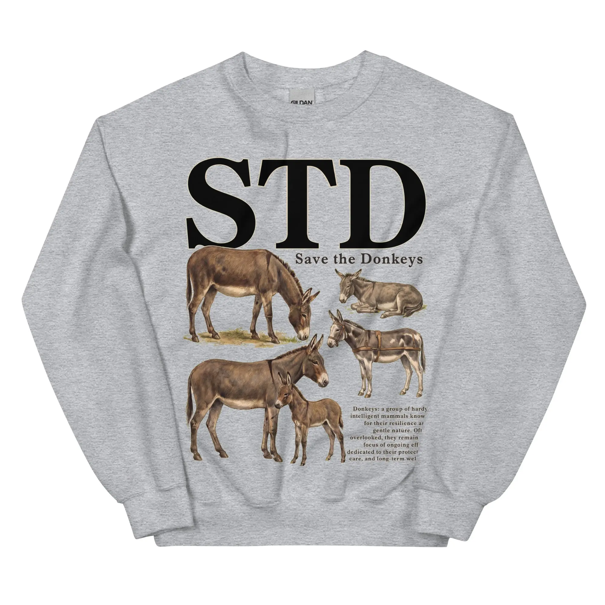 STD (save the donkeys) sweatshirt - Image 7