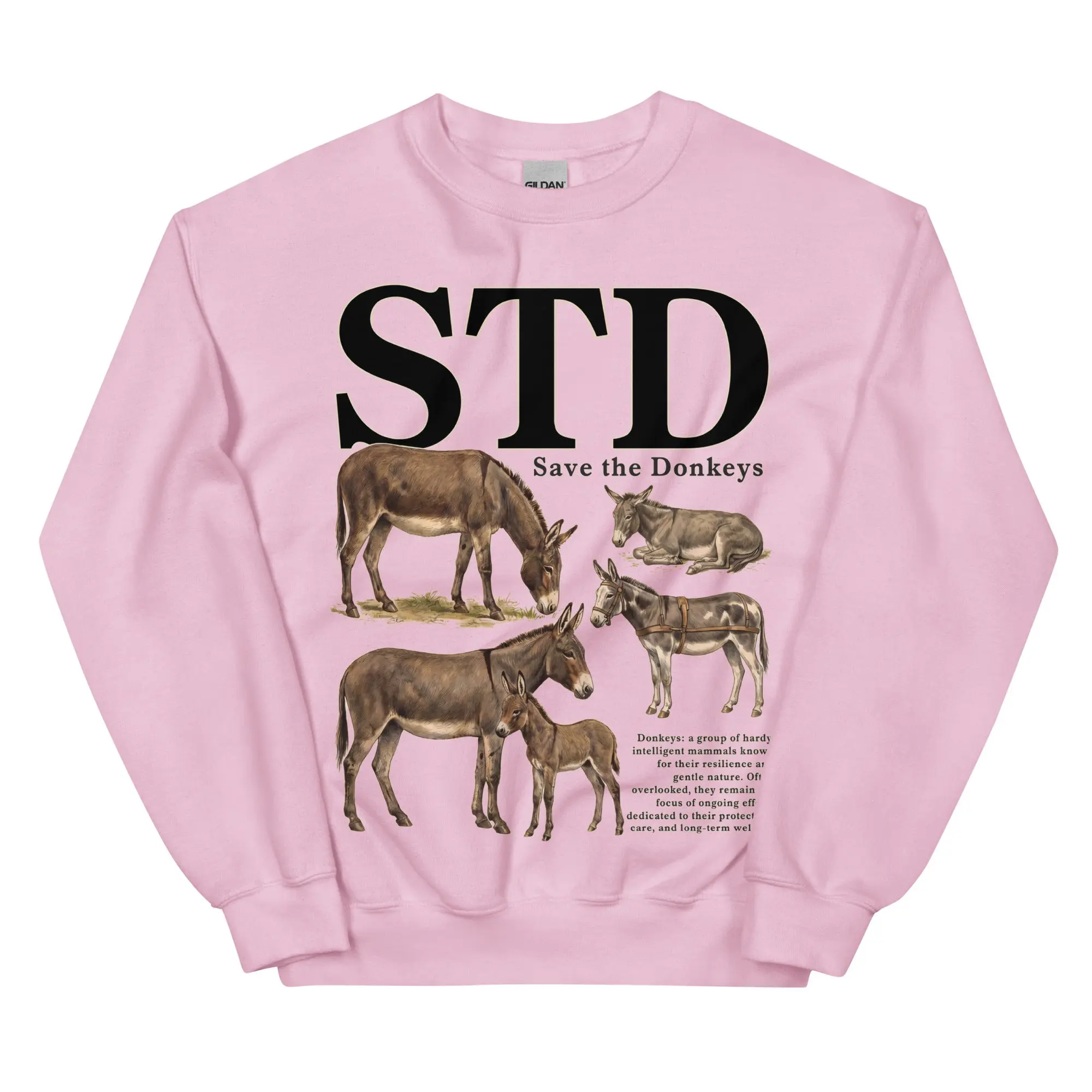 STD (save the donkeys) sweatshirt - Image 8