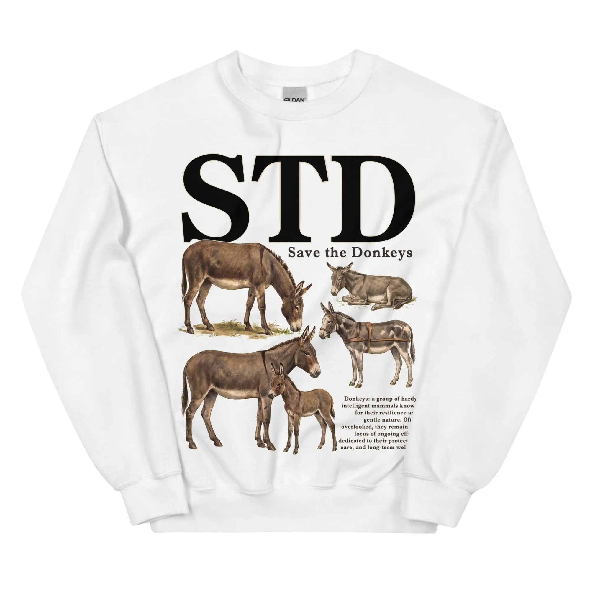 STD (save the donkeys) sweatshirt - Image 9