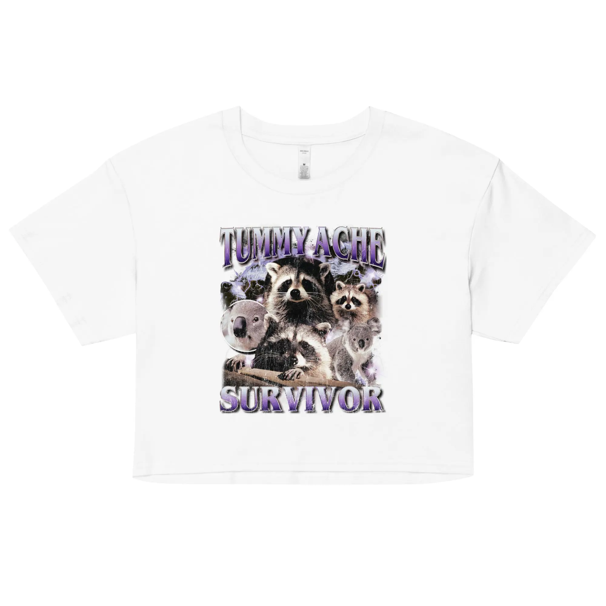 Tummy Ache Survivor Banter Women’s crop top - Image 5