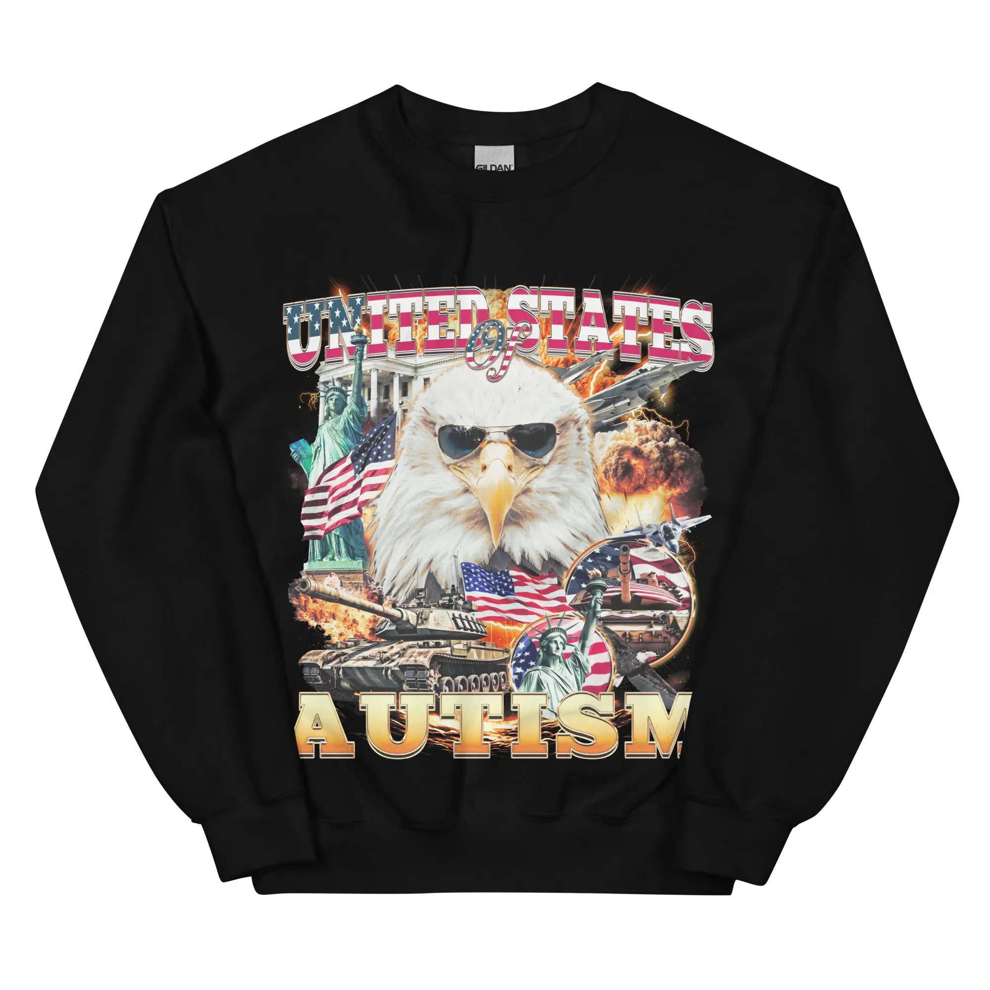 United States of Autism sweatshirt